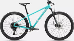 BICICLETA ROCKHOPPER EXPERT 29 LGNBLU/LTSIL S